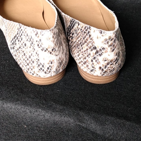 Lucky BrandBylando Snake Print Leather Slip Ons - Picture 7 of 8
